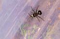ZZ_ZZXYX_D5532_Z_85_Lake Broadwater_Australie
